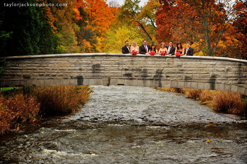 Webster's Falls