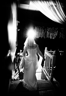 Taylor Jackson Photography - Kitchener Waterloo Wedding & Commercial Photographer bio picture